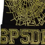 Sp5der Web Beanie Black